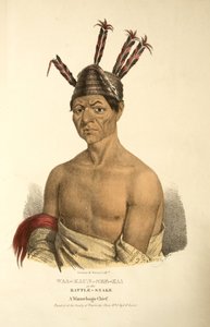 Waa-kaun-see-kaまたはガラガラヘビ 作： James Otto Lewis